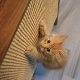 4 Cats & Dogs Wesley Wall-Mounted Cat Scratcher with Shelf