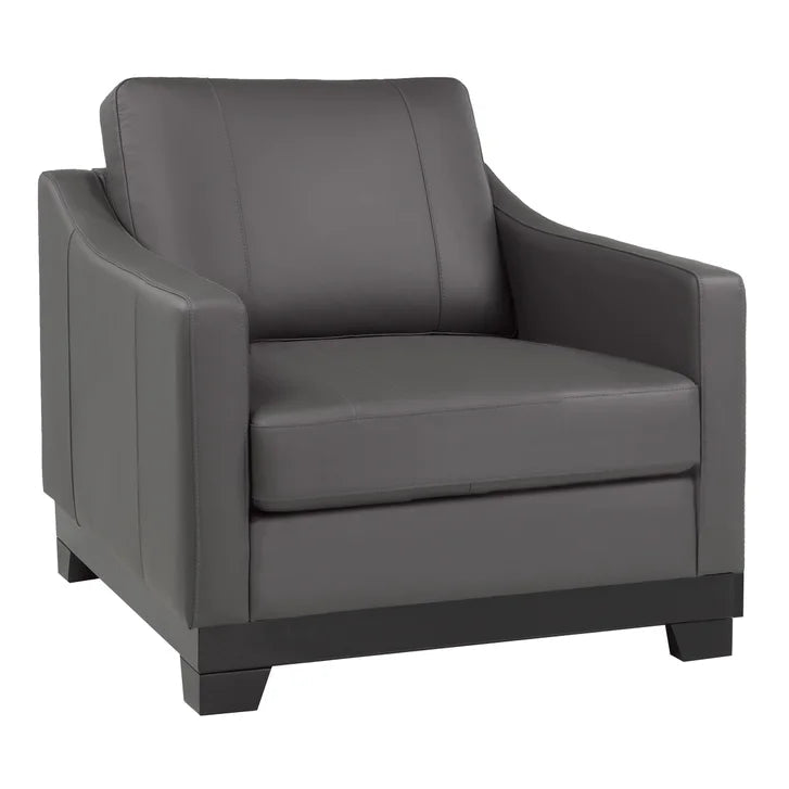 Omni Top-grain Leather Sofa, Loveseat, and Chair