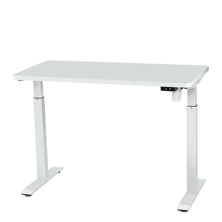 Motionwise 121.9 cm x 61 cm (48 in. x 24 in.) Single Motor Height Adjustable Desk