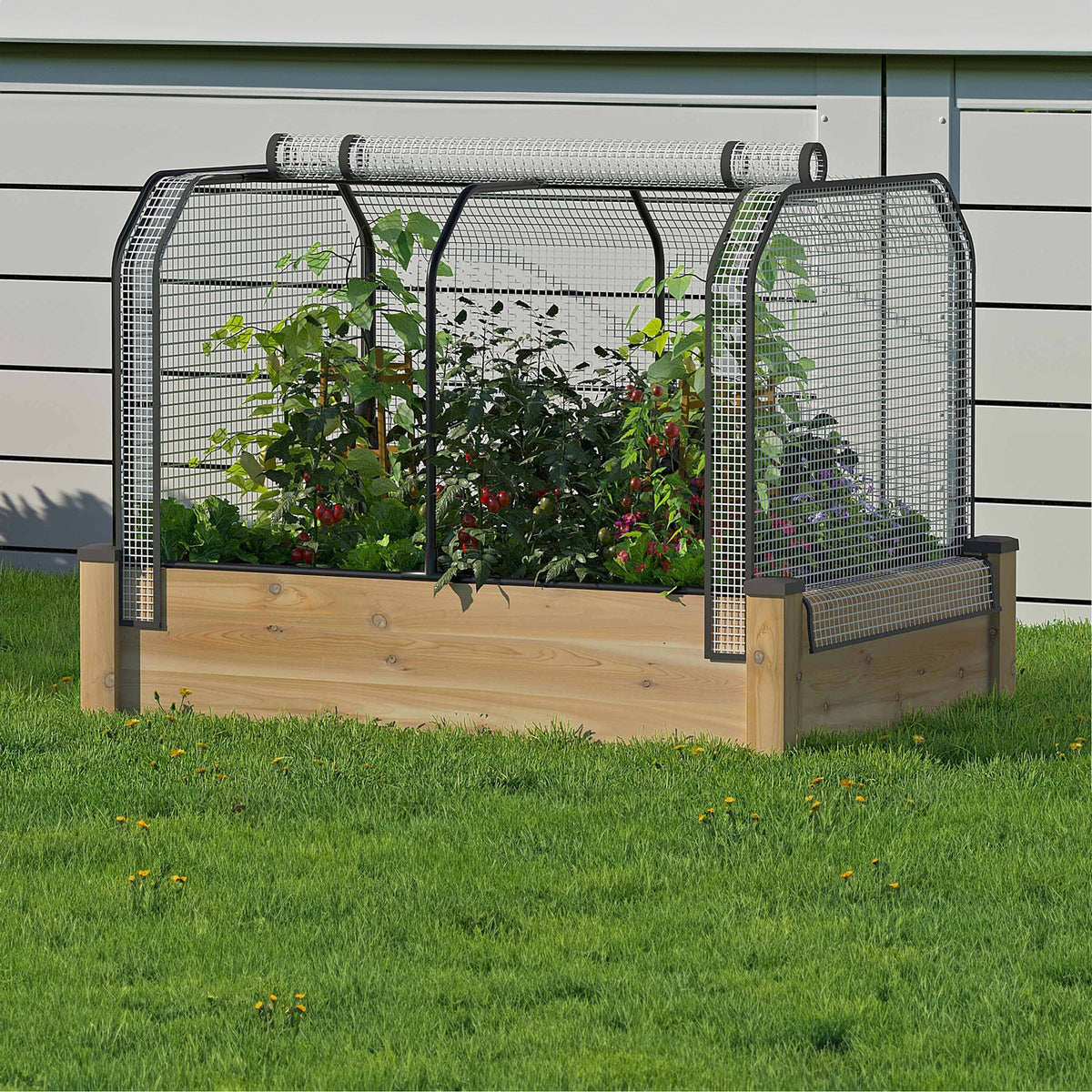 CedarCraft Cedar Raised Garden Bed 33" x 49" x 11" + Greenhouse Cover