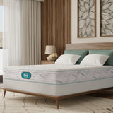 Simmons Atlas 24.1 cm (9.5 in.) Mattress or Set