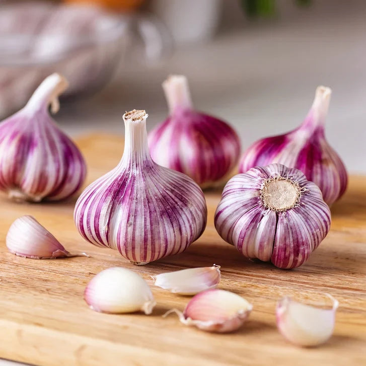 Horticana: Northern Harvest Garlic