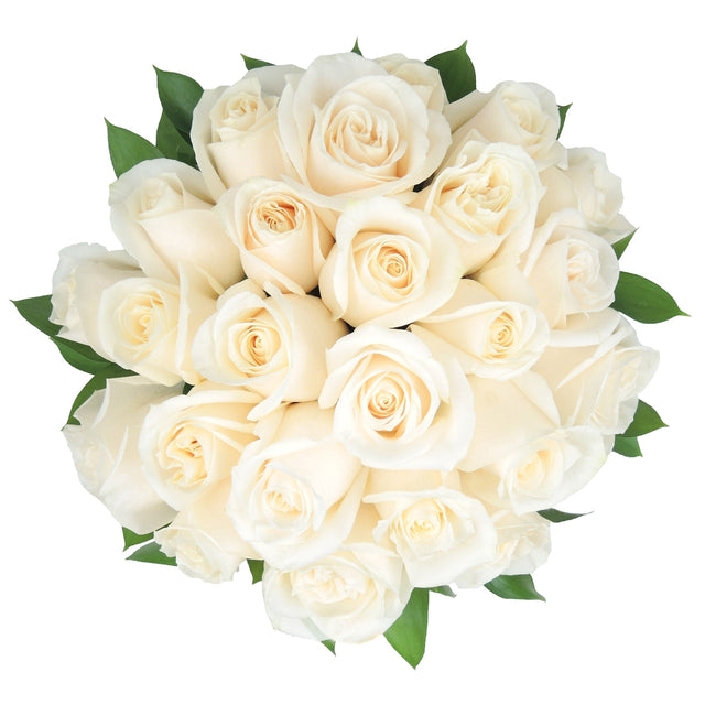 Romantic Rose Bridal Collection W3