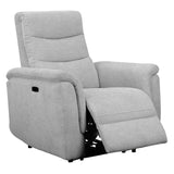 Sealy Jann Grey Power Recliner