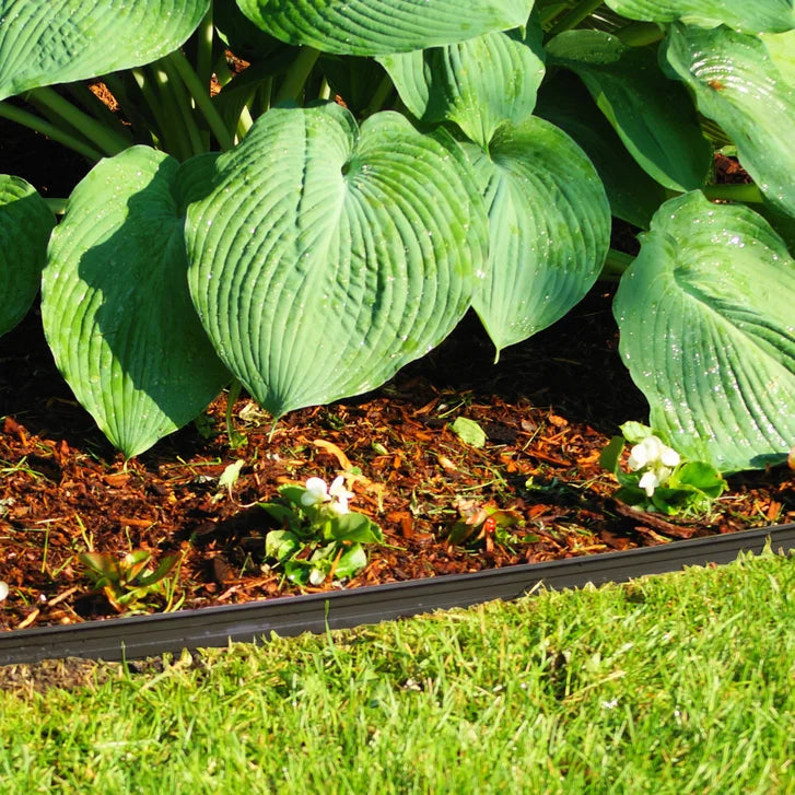 Euroline 48 m (157.5 ft.) Professional Aluminum Garden Edging