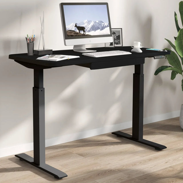 Motionwise 121.9 cm x 61 cm (48 in. x 24 in.) Height Adjustable Desk O6