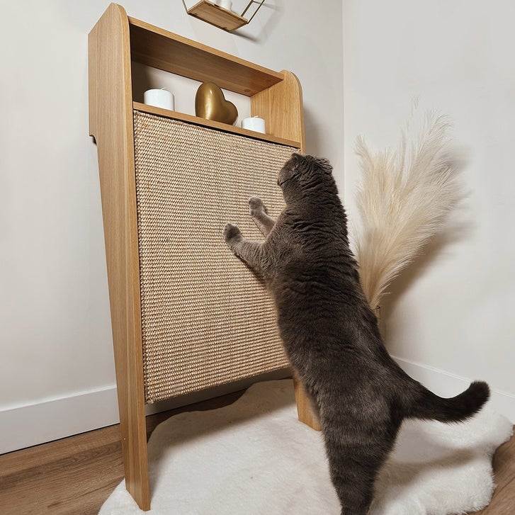 4 Cats & Dogs Wesley Wall-Mounted Cat Scratcher with Shelf