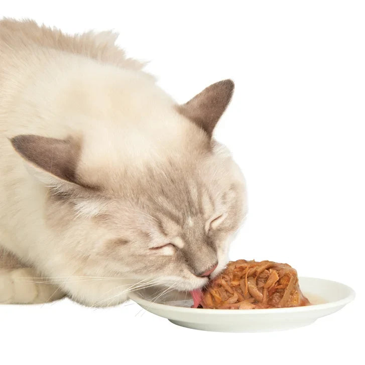 Catit Assorted Cat Food Dinners, 24 x 75 g (2.65 oz)