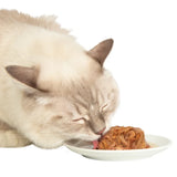 Catit Assorted Cat Food Dinners, 24 x 75 g (2.65 oz)