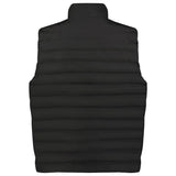 Dakine Men's Alpine Vest
