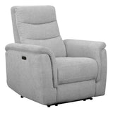 Sealy Jann Grey Power Recliner
