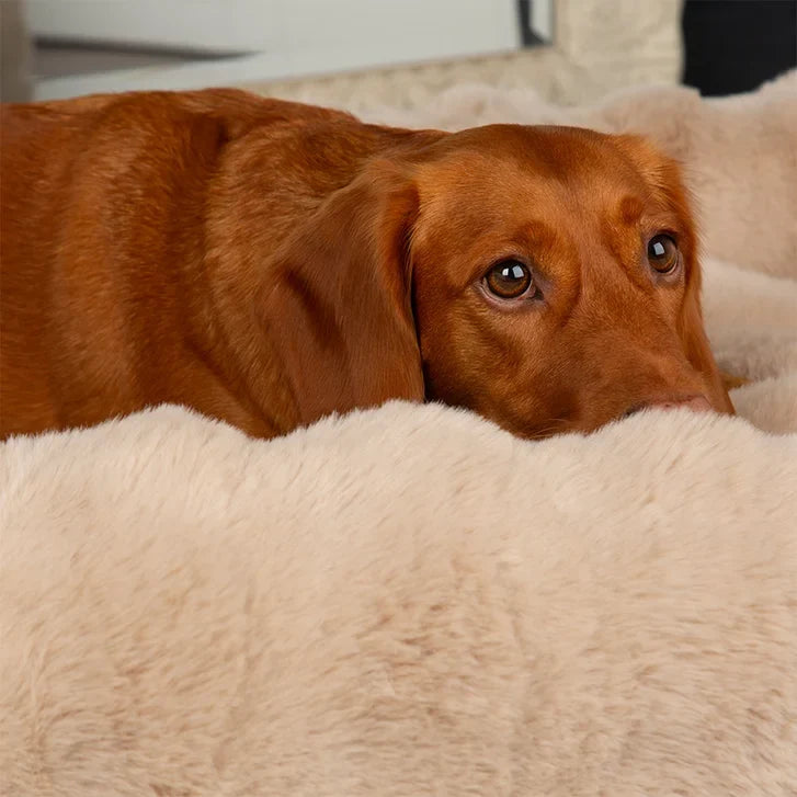 Scruffs Alpine Dog Bed 35 in. x 28 in.
