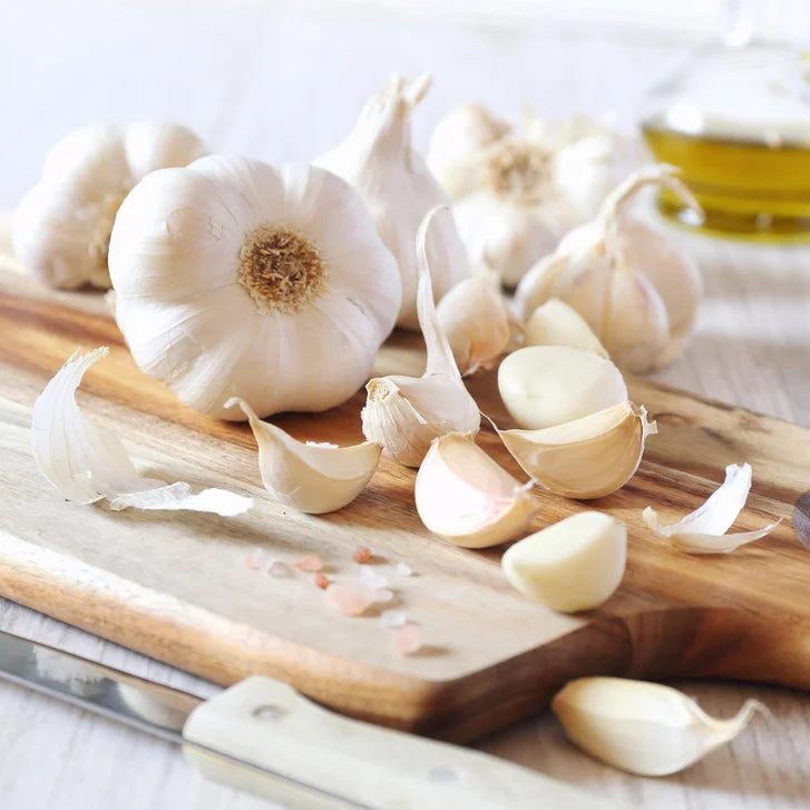 Horticana: Northern Harvest Garlic