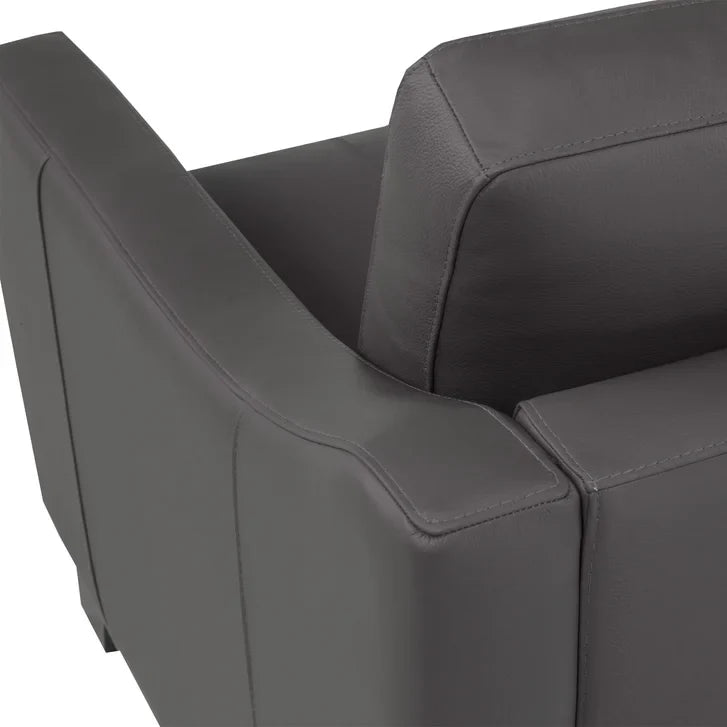 Omni Top-grain Leather Sofa, Loveseat, and Chair