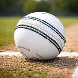 LinkZ - Leather Cricket Balls, 6-pack