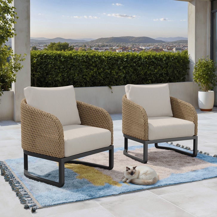 Florina 2-piece Patio Chair Set