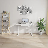 Motionwise 121.9 cm x 61 cm (48 in. x 24 in.) Height Adjustable Desk