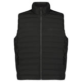 Dakine Men's Alpine Vest
