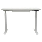 Motionwise 121.9 cm x 61 cm (48 in. x 24 in.) Height Adjustable Desk