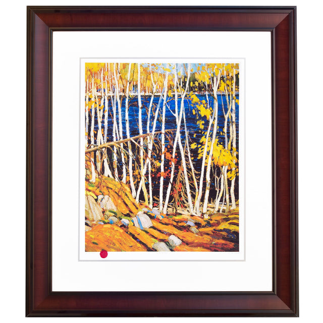 In The Northland Framed Print by Tom Thomson D3
